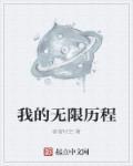 我的无限有剧本