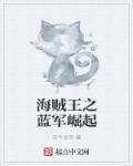 海贼王之海军