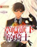 草帽团的旗帜