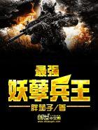 最强妖孽兵王TXT