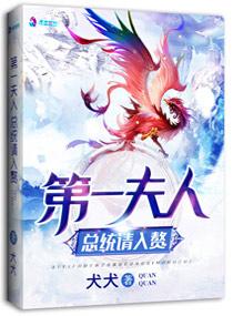 总统先生的心尖宠全文