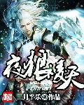 夜狼指的是