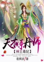 神王毒妃 二嫁王妃