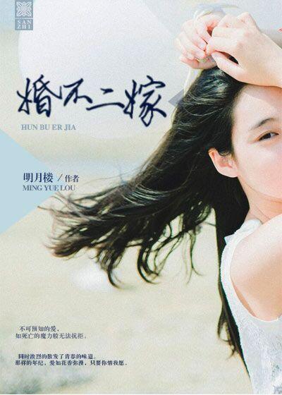 二婚不二全文