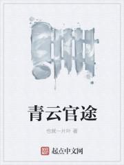 青云官途官场