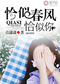 恰似春风多情全文阅读