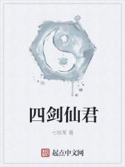 四剑什么意思