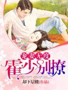 霍少宠妻无度