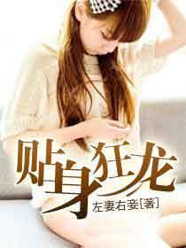 贴身狂兵沈天全集