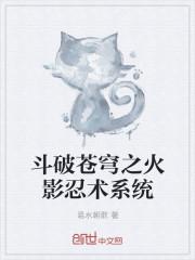 斗破之火影系统