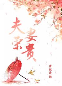 夫荣妻贵的最佳四句话