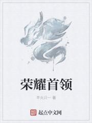 荣耀元首会不会掉