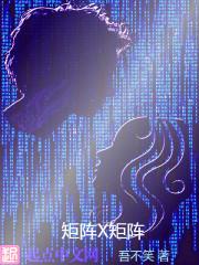 x矩阵图